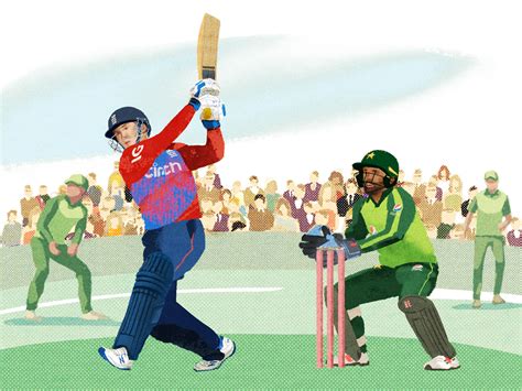 Cricket By Folio Illustration Agency On Dribbble