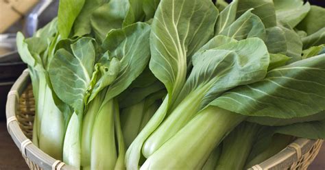 Pak Choi zubereiten Wie es richtig geht