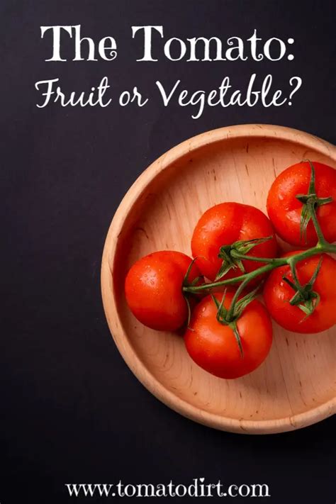 Tomato Fruit Or Vegetable