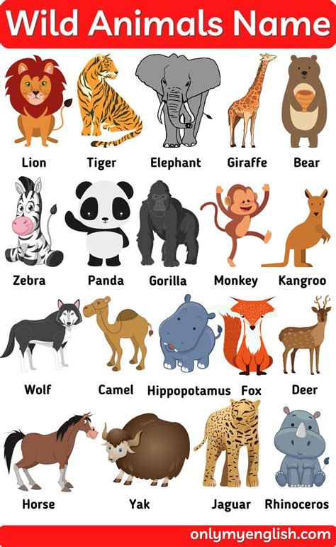 Wild Animals Names In English And Spanish