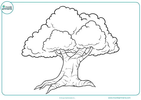Dibujo Para Colorear árbol Primaria Mundo Primaria