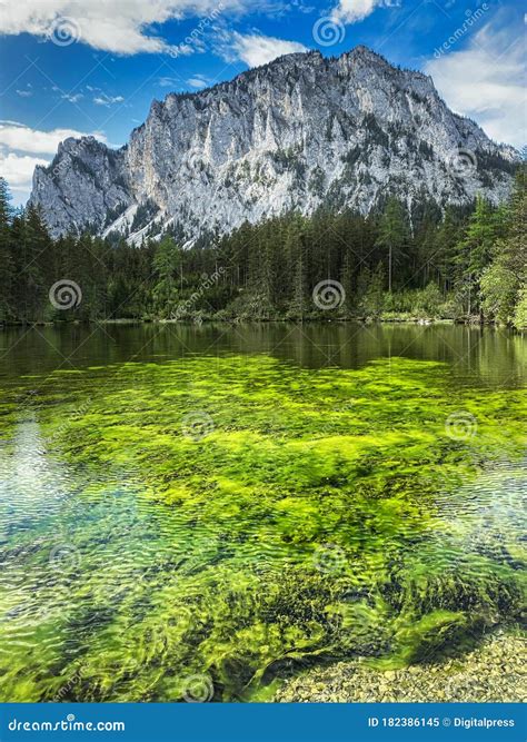 Green Lake Austria Stock Image Image Of Scenics Mountain 182386145