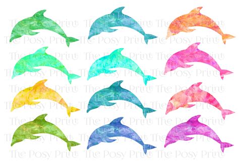 Watercolor Dolphin Clip Art Ocean Life Printable Clip Art Etsy