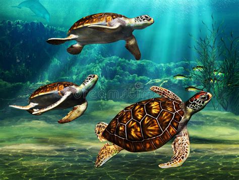 Sea Turtles Stock Illustration Illustration Of Fish