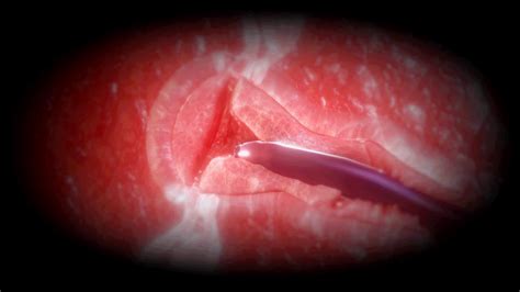 Hanzohatori Animated Animated  Cervical Penetration Cervix Deep