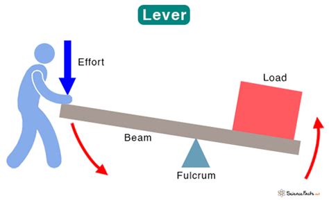 Lever Definition Parts Types And Examples