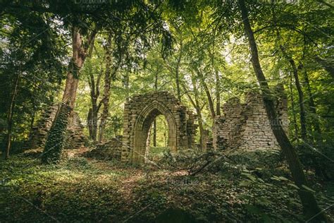 Ruins In The Forest Featuring Ruin Forest And Trees High Quality