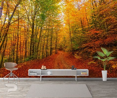 Autumn Forest Path Wall Mural Colorful Forest Wallpaper Etsy