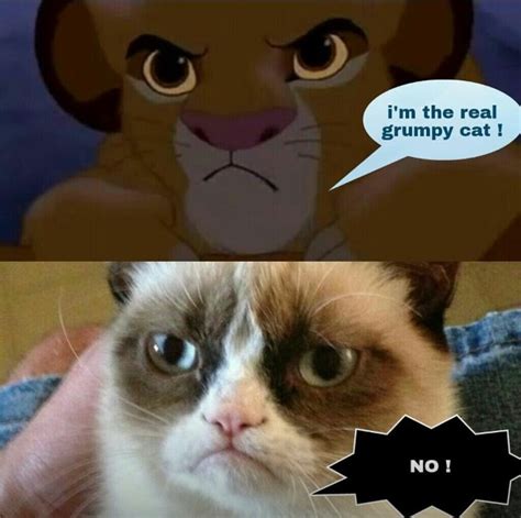 Lion King Grumpy Cat Meme Pictures Collections Tuts