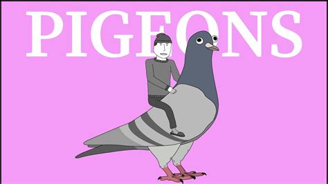 Odd Pigeon Knowledge Youtube