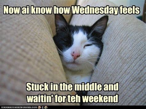 I Know How Wednesday Feels Pictures Photos And Images For Facebook