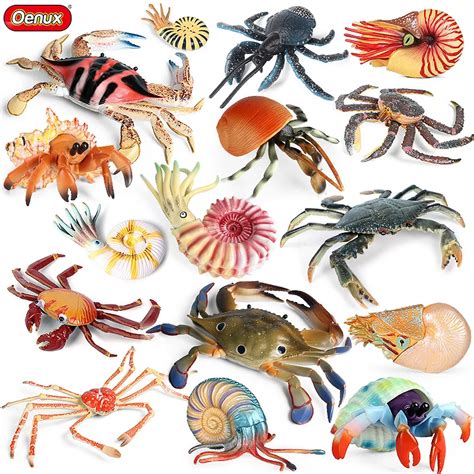 Oenux Marine Ocean King Spider Hermit Crab Nautilus Action Figure Sea
