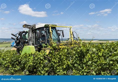 Tractor Cutting Vines In Vineyard Editorial Stock Image Image Of
