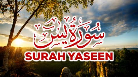 Surah Yaseen Yasin Full Hd Arabic Text 036 سورۃ یس By Mishary