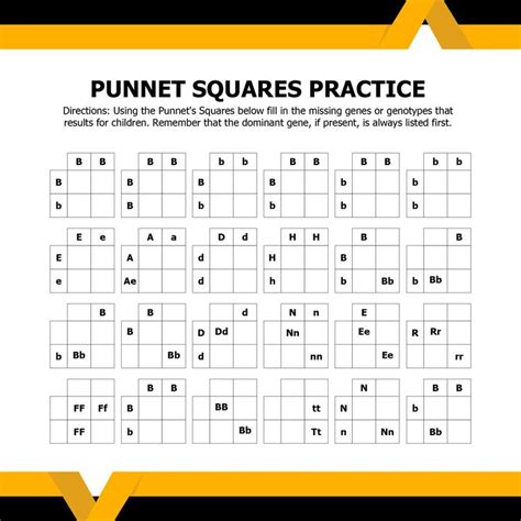 10 Best Printable Punnett Square Worksheets Punnett Squares Punnett