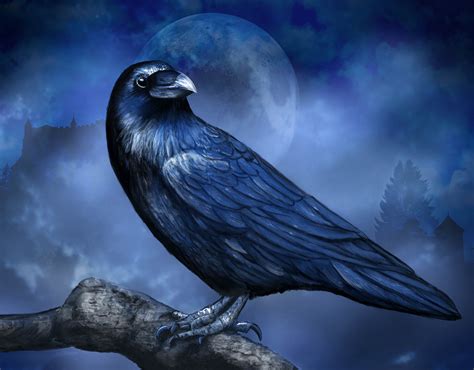 Raven A Raven Queen Vanishes And Britain Checks A Prophecy The New