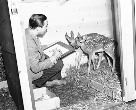 Today In History Bambi Premieres In Us At Radio City Music Hall