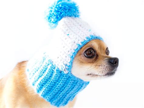 Knitted Dog Hat Cozy Crochet Dog Hat Blue Winter Dog Snood Etsy