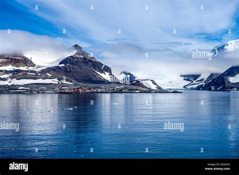 Antarctica Outstanding Natural Beauty Hope Bay Trinity Peninsula With