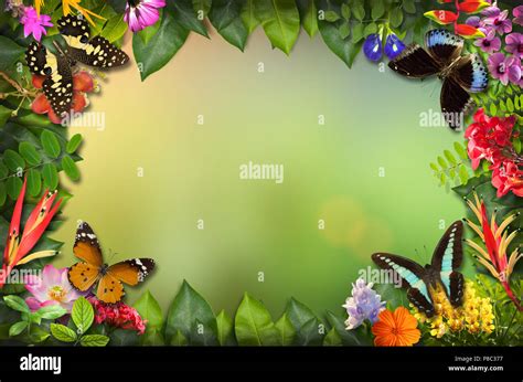 Nature Border With Flower And Butterfly Nature Border Mockup Template