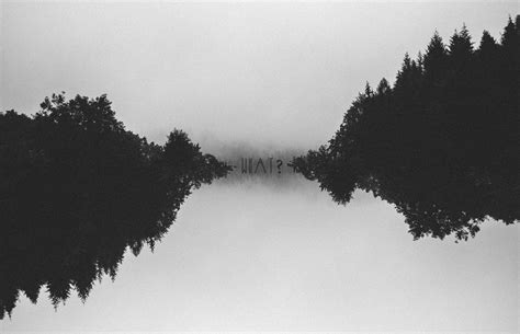 Trees Forest Faded Black Monochrome Grain Minimalism Wallpapers