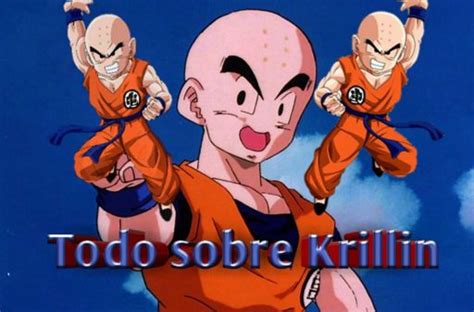 Todo Sobre Krillin Dragon Ball EspaÑol Amino