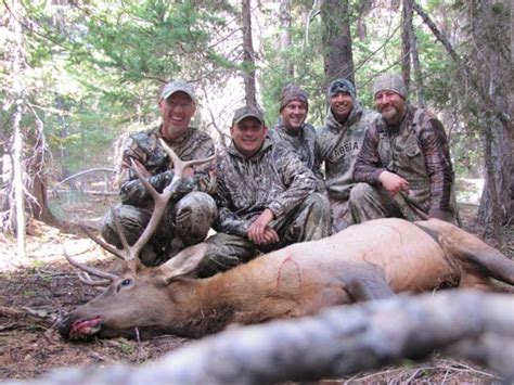 Mule Deer Elk And Western Big Game Hunting