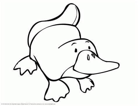 Draw A Duck Billed Platypus Easy Clip Art Library