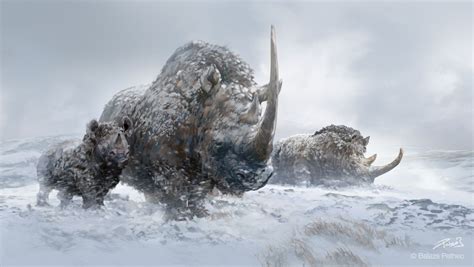 Prehistoric Mammals Series Woolly Rhinos In The Blizzard Животные