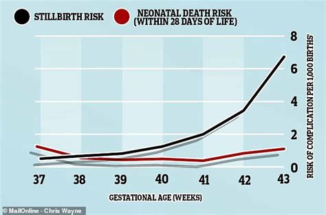 Overdue Babies Are More Likely To Be Stillborn Daily Mail Online