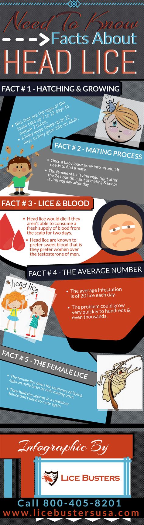 Facts Need To Know About Head Lice Infographic Lice Busters Usa