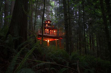 The Sanctuary Treehouse — Wild Tree Woodworks Custom Treehouse Builders