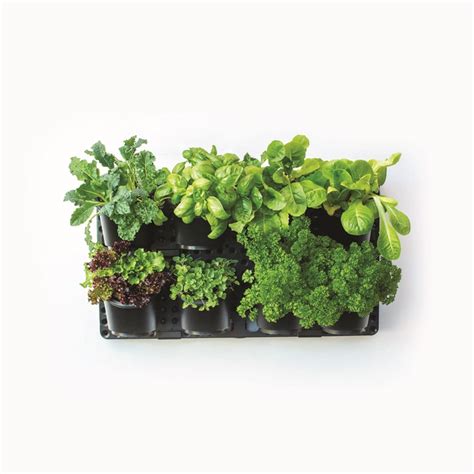 Holman Vertical Greenwall Garden Kit Bunnings Warehouse