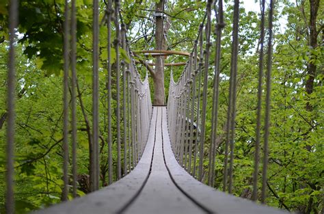 This Wisconsin Treetop Canopy Walk Is Thrilling