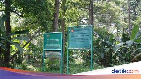 Maybe you would like to learn more about one of these? Wisata Rawa Dano Serang - Objek wisata alam rawa danau di serang, banten bisa menjadi tujuan ...