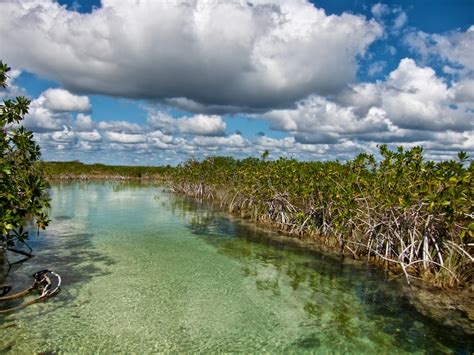 We are a small local tour company who promotes educational sustainable tourism activities in the internationally protected biosphere reserve. Sian Ka´an la reserva natural más hermosa que tus ojos han ...