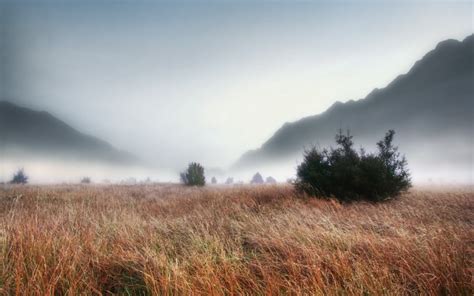 Landscape Foggy Grass Hd Desktop Wallpapers 4k Hd