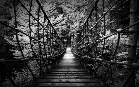Customize and personalise your desktop, mobile phone and tablet with these free wallpapers! Black and White Woods Wallpaper (52+ images)