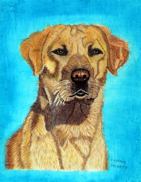 Portrait Of A Golden Lab Painting By Eugenia Tribett