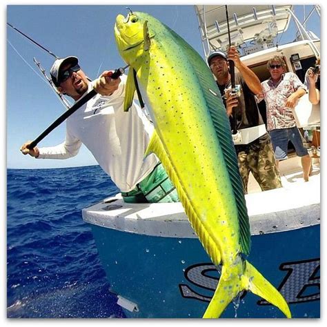 10 Top Saltwater Fishing Destinations In The Us Best Places To Fish