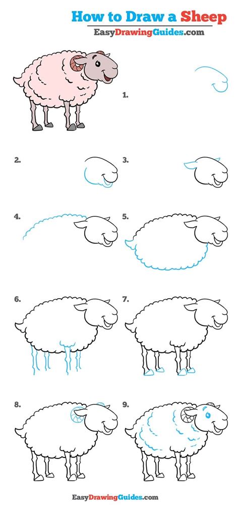 But fins and tail are. How to Draw a Sheep - Really Easy Drawing Tutorial