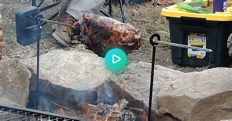 Homemade Spit Roasted Haunch Of Venison  On Imgur