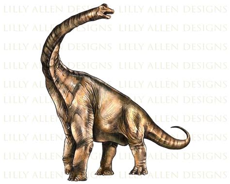 Brachiosaurus Png Sublimation Design Png Hand Drawn Etsy