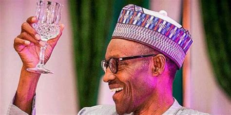 Buhari At 79 A Focus On His Achievements Challenges By Garba Shehu — Daily Nigerian