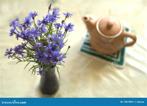 Bouquet Of Blue Cornflowers In Vase And A Kettle Stock Image Image Of