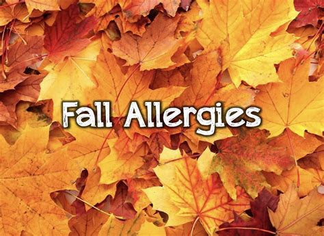 Fall Allergies Atlantic Ear Nose And Throat