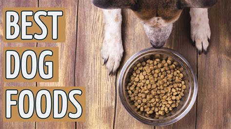 ⭐️ Best Dog Food Top 10 Dog Foods 2019 Reviews ⭐️ Youtube