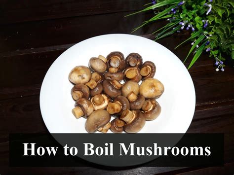 How to Boil Mushrooms - How-to-Boil.com