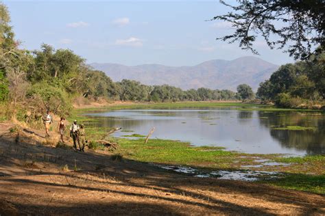 Lower Zambezi National Park Zambia Comprehensive Report Expert Africa