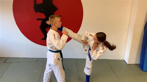 1 in vertrauen und kundenzufriedenheit! Bushido-Ryu e.V. - Sparda Leuchtfeuer 2019 - Noch 12 Tage ...